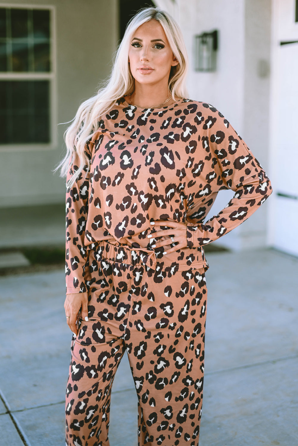 Brown Leopard Print Long Sleeve Pullover and Pants Outfit